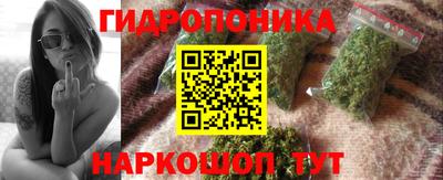 прущие грибы Ярцево