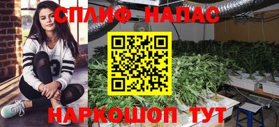 амф Ярославль