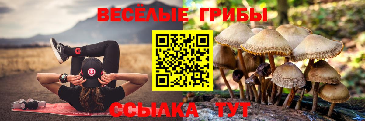 Галлюциногенные грибы GOLDEN TEACHER Мариинск